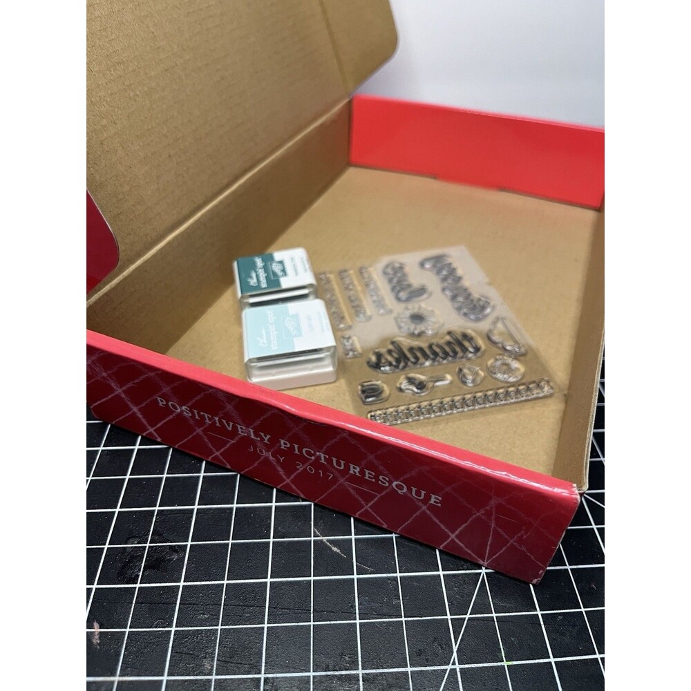 INK AND STAMPS ONLY for Stampin Up Paper Pumpkin Kit Positively Picturesque 2017